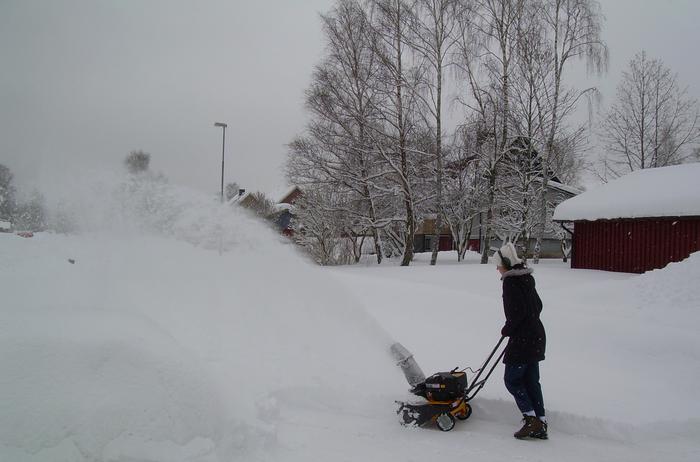 Vinter 2009-2010